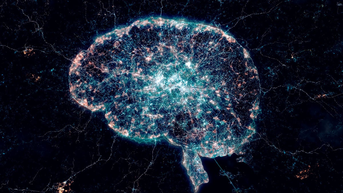 23104-001-City-in-shape-of-a-brain
